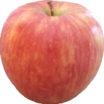 リンゴ画像
